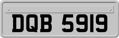 DQB5919