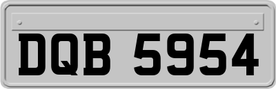 DQB5954