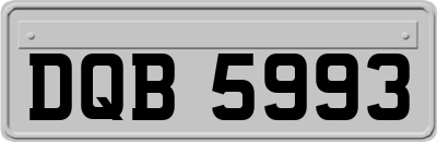 DQB5993