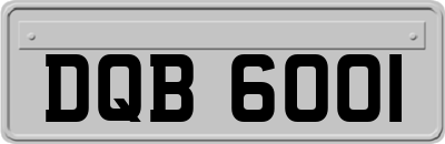 DQB6001
