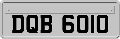 DQB6010
