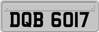 DQB6017