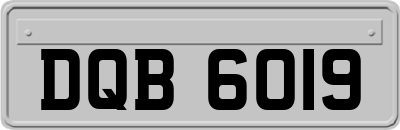 DQB6019