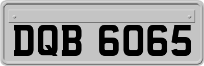 DQB6065