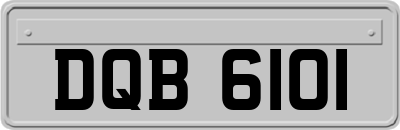 DQB6101