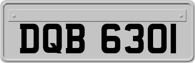 DQB6301