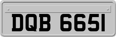 DQB6651