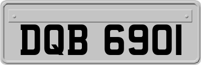 DQB6901