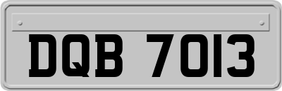DQB7013