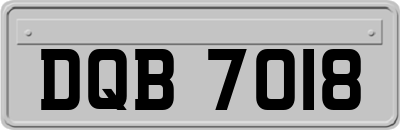 DQB7018