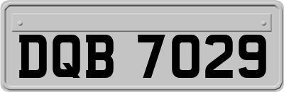 DQB7029