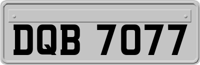 DQB7077