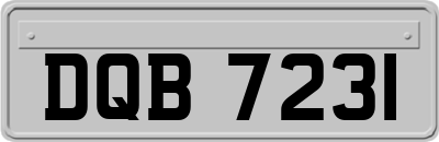 DQB7231