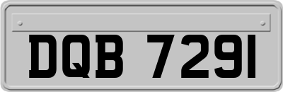 DQB7291
