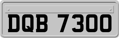 DQB7300