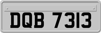 DQB7313