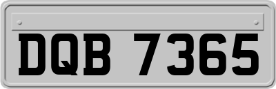 DQB7365