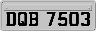 DQB7503