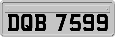 DQB7599