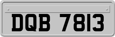 DQB7813