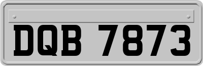 DQB7873