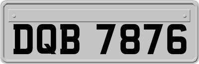 DQB7876