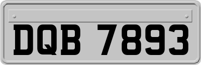 DQB7893