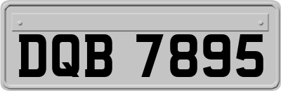 DQB7895