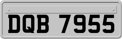 DQB7955