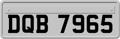 DQB7965