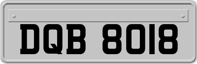DQB8018