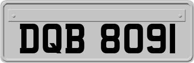 DQB8091