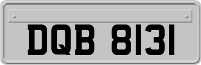 DQB8131