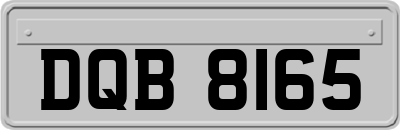 DQB8165