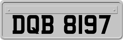 DQB8197