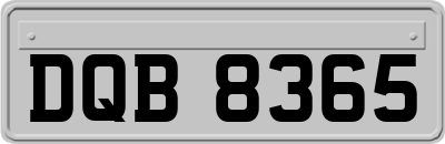 DQB8365