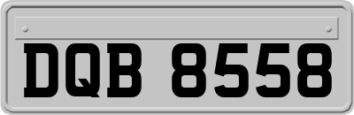 DQB8558