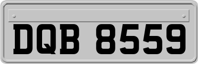 DQB8559