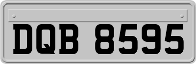 DQB8595