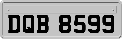 DQB8599