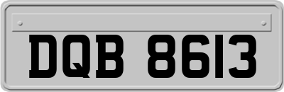 DQB8613