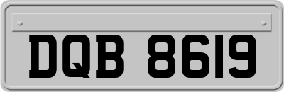 DQB8619
