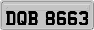 DQB8663
