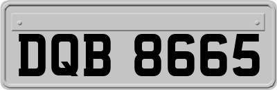 DQB8665