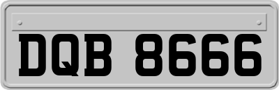 DQB8666