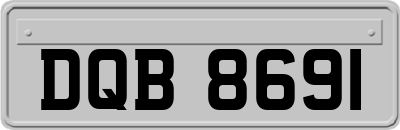 DQB8691