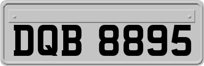 DQB8895