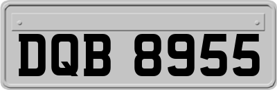 DQB8955