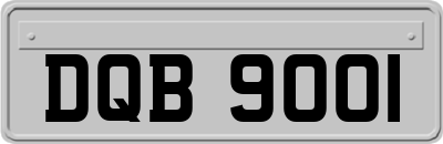 DQB9001
