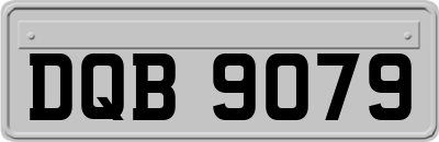 DQB9079